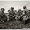 mg 363